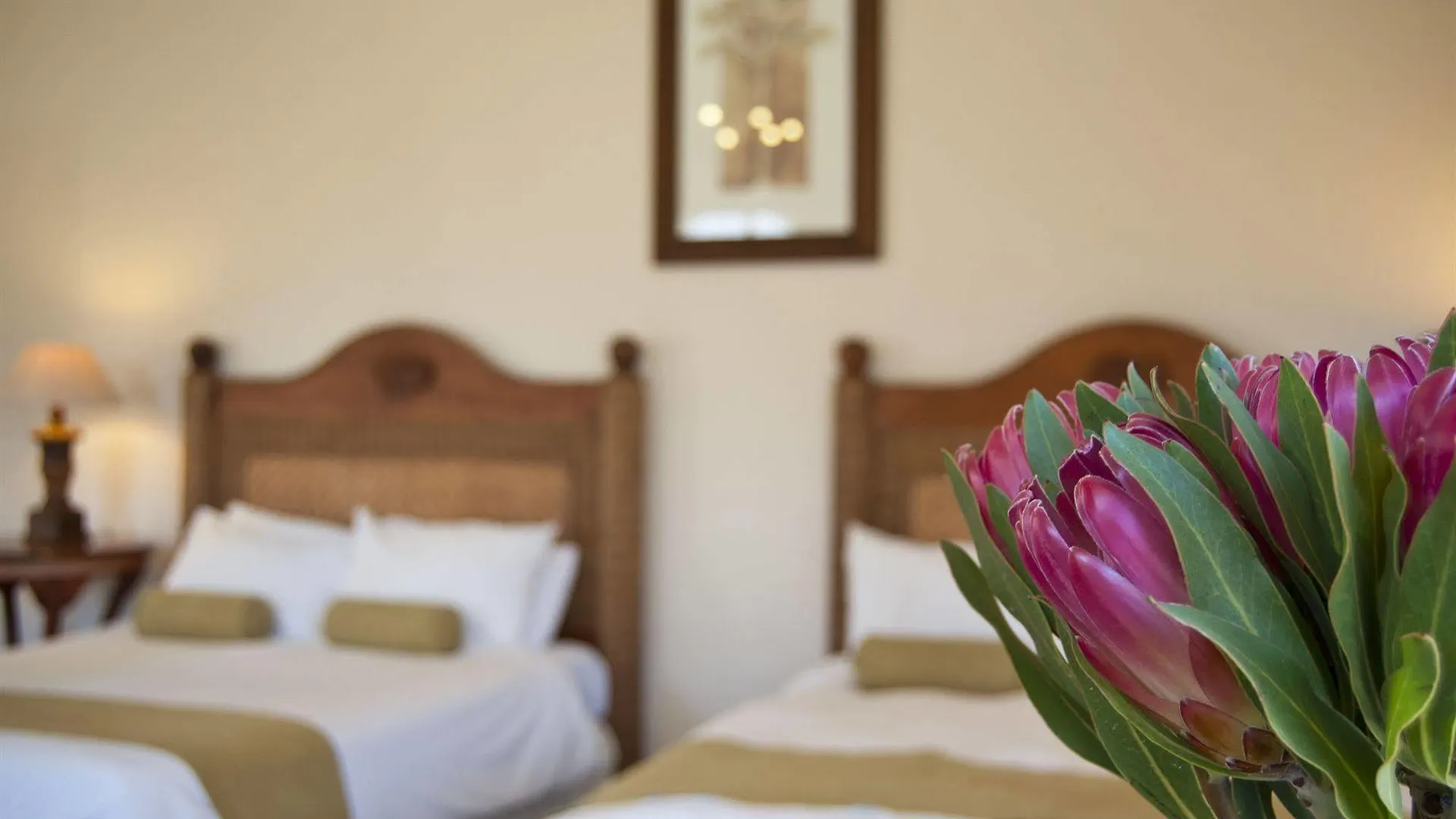 Palm House Luxury Guest House Kapstadt